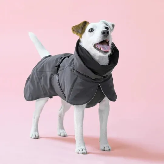 Visibility Winter Jacket in Dark Grey
