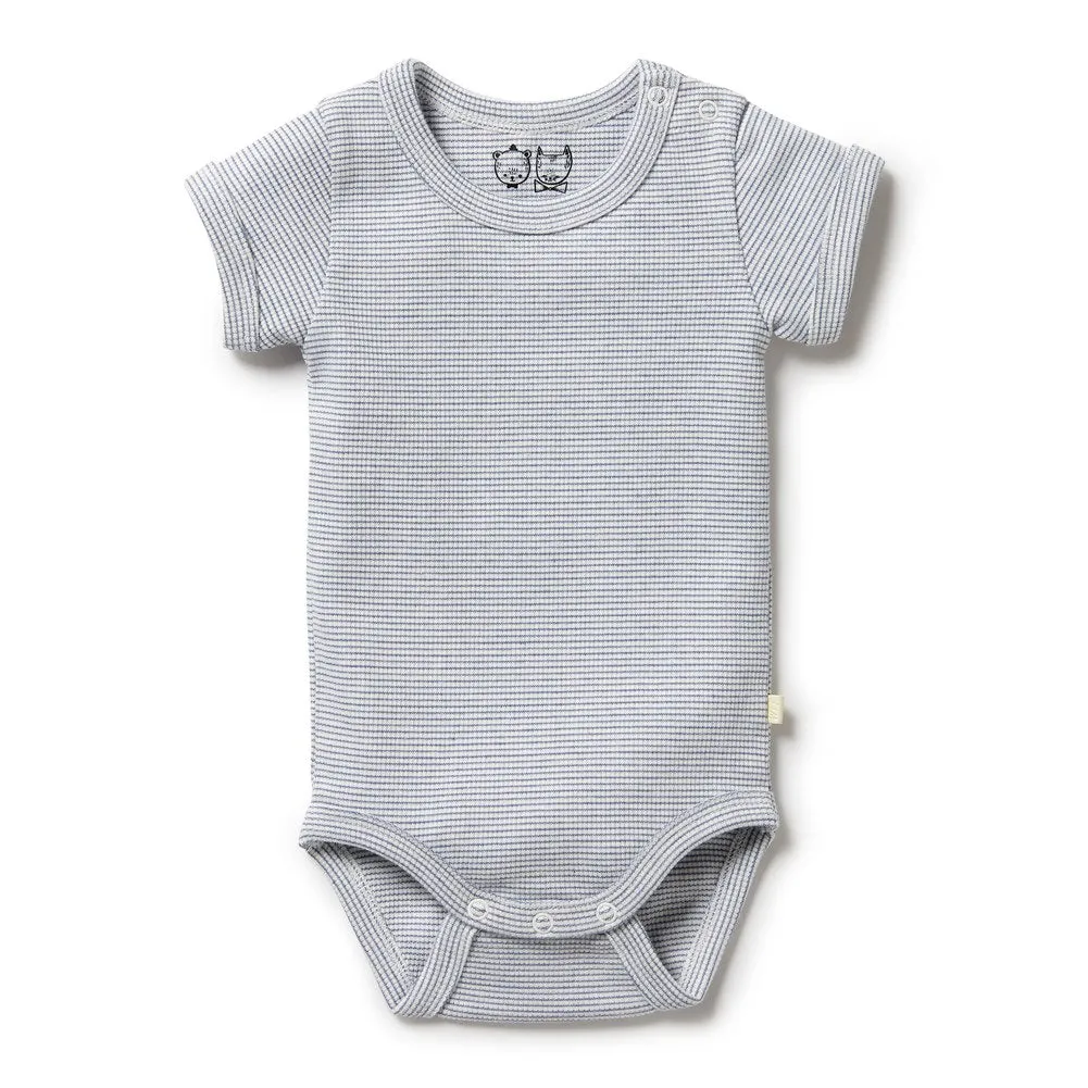 Wilson Frenchy Organic Cotton Striped Short Sleeve Onesie - Rain Drop (3-6 Months, 6-8 Kg)