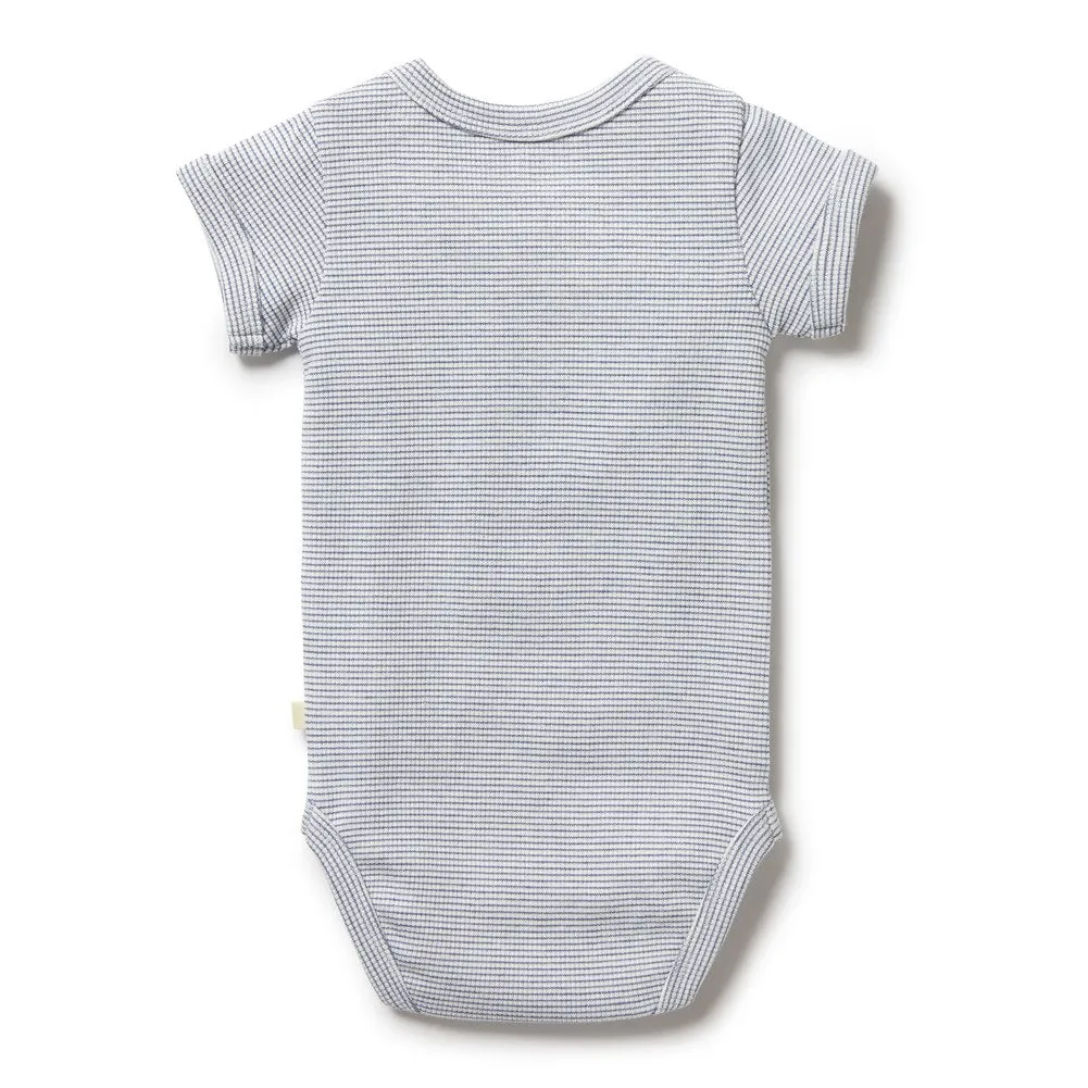 Wilson Frenchy Organic Cotton Striped Short Sleeve Onesie - Rain Drop (3-6 Months, 6-8 Kg)